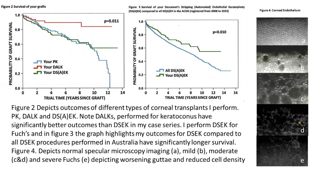 Figures 2 and 3 graft survival graphs